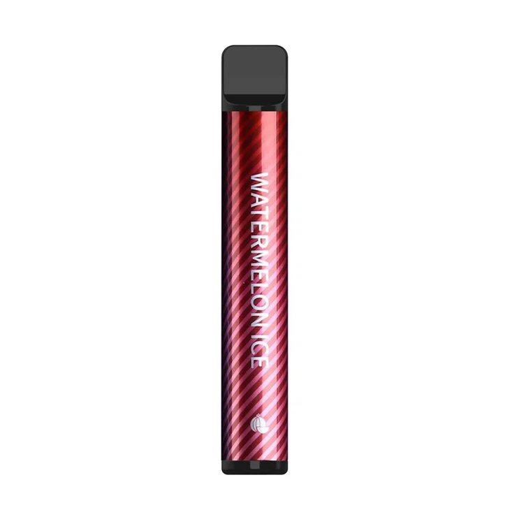 Disposable Electronic Cigarette 600 Puffs UY012